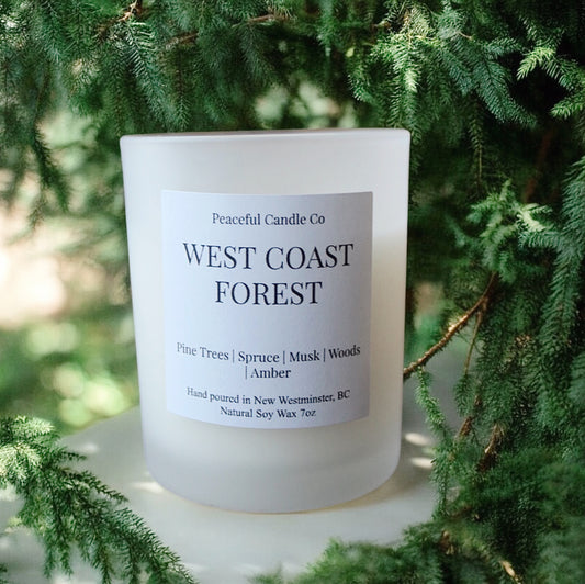 A white frosted jar candle labeled 'WEST COAST FOREST' by Peaceful Candle Co., with a scent description of pine trees, spruce, musk, woods, and amber, placed among green pine needles.